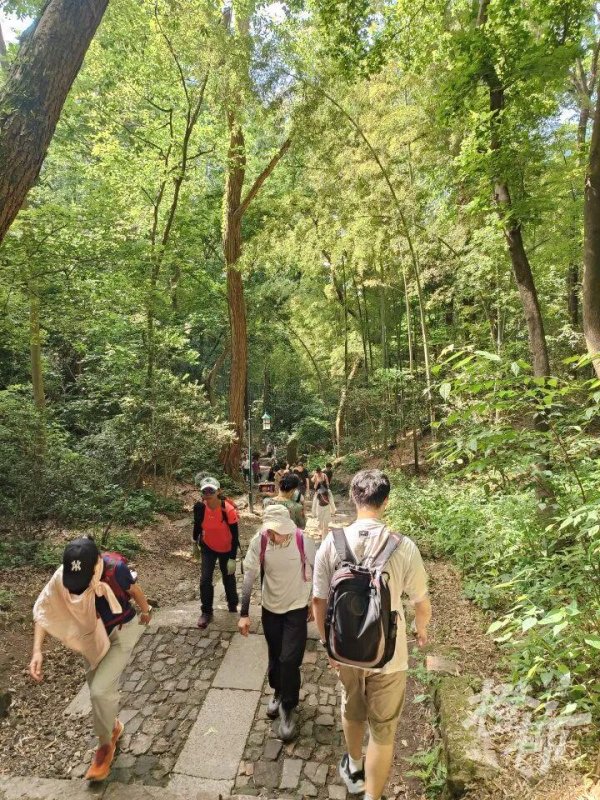 正规配资公司 西湖边每天都有人拎行李箱爬山？不少游客分享同样遭遇：“导航最近的地铁站，越走越不对劲……”